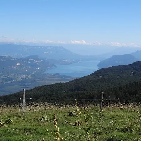 Du Coq A L'ane *
